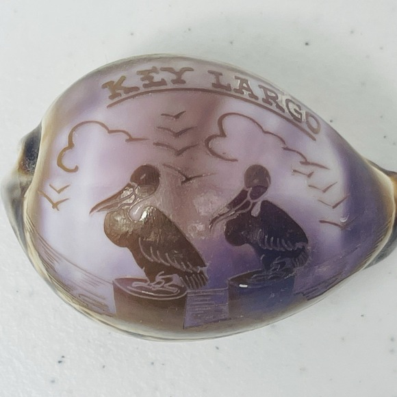 Other - Vintage Seal Key Largo Souvenir Carved Tiger Cowrie Shell